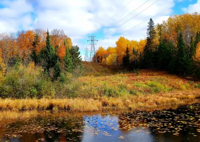 Fall colors along river and power lines in Iron County