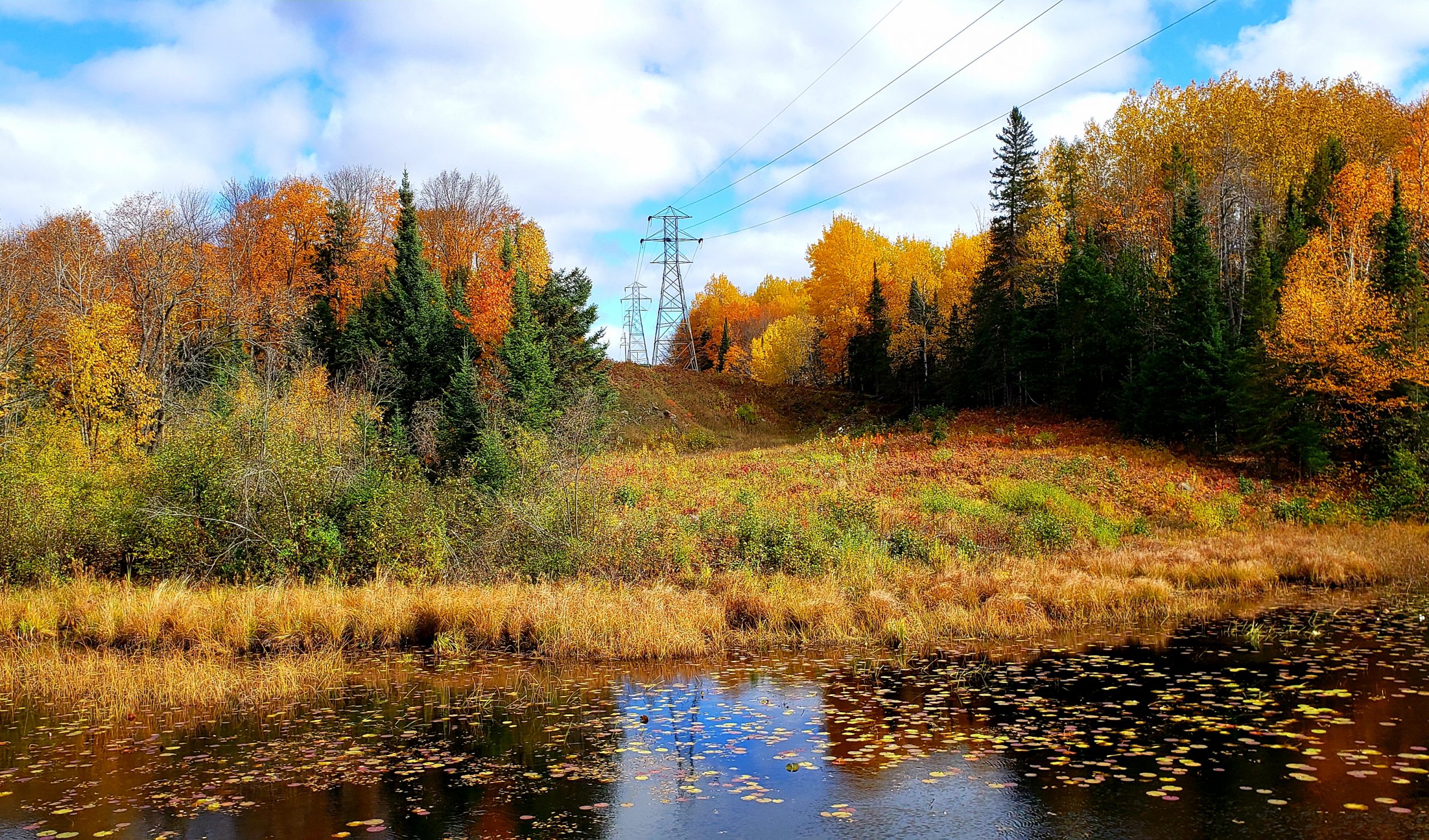 Fall colors along river and power lines in Iron County