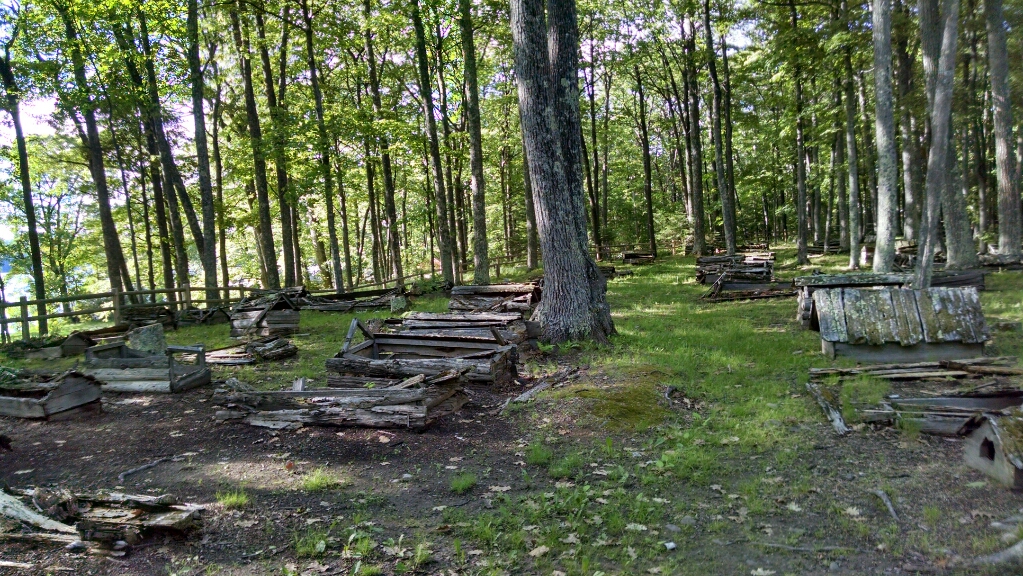 Ojibwa Indian Burial Grounds